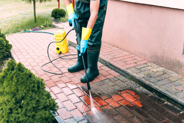 Best Solar Panel Cleaning  in Orchards, WA